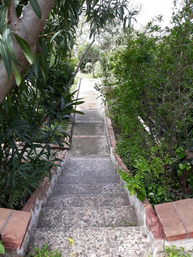Villa Belvedere Michelle Trappeto  Ngoại thất bức ảnh